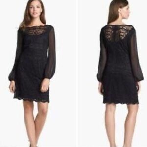 Adrianna Papell Lace Chiffon Scalloped Shift Dress Size 14